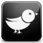 Twitter icon